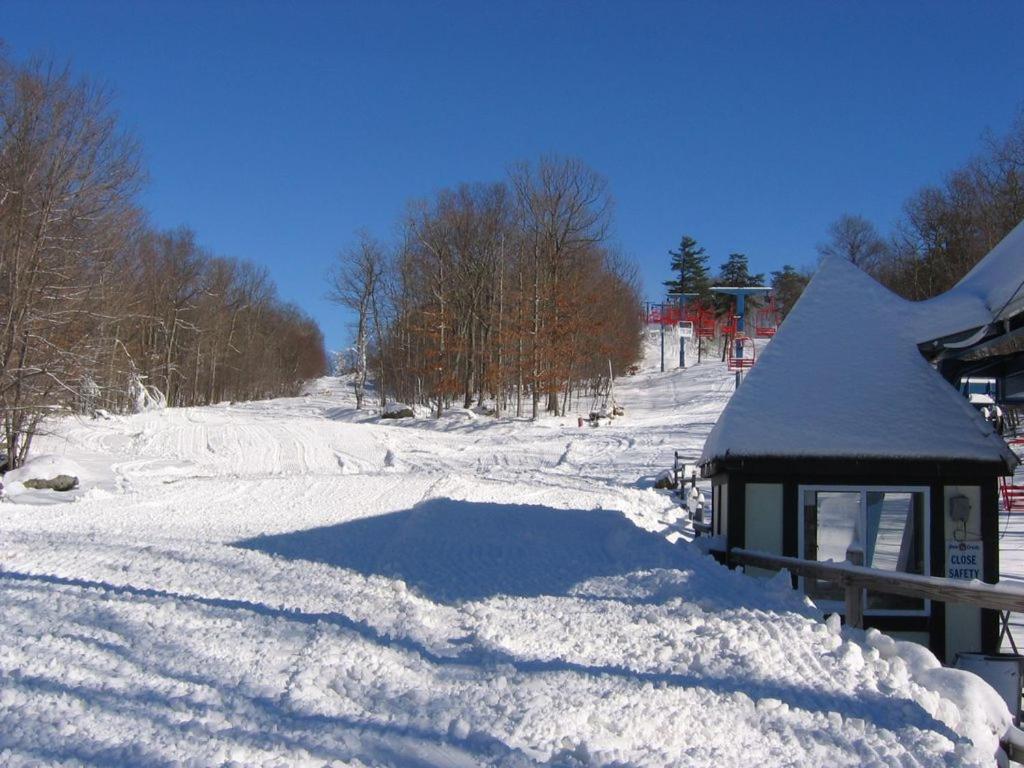 Saw Creek Cabin - Regent Hilltop Bushkill Exterior photo