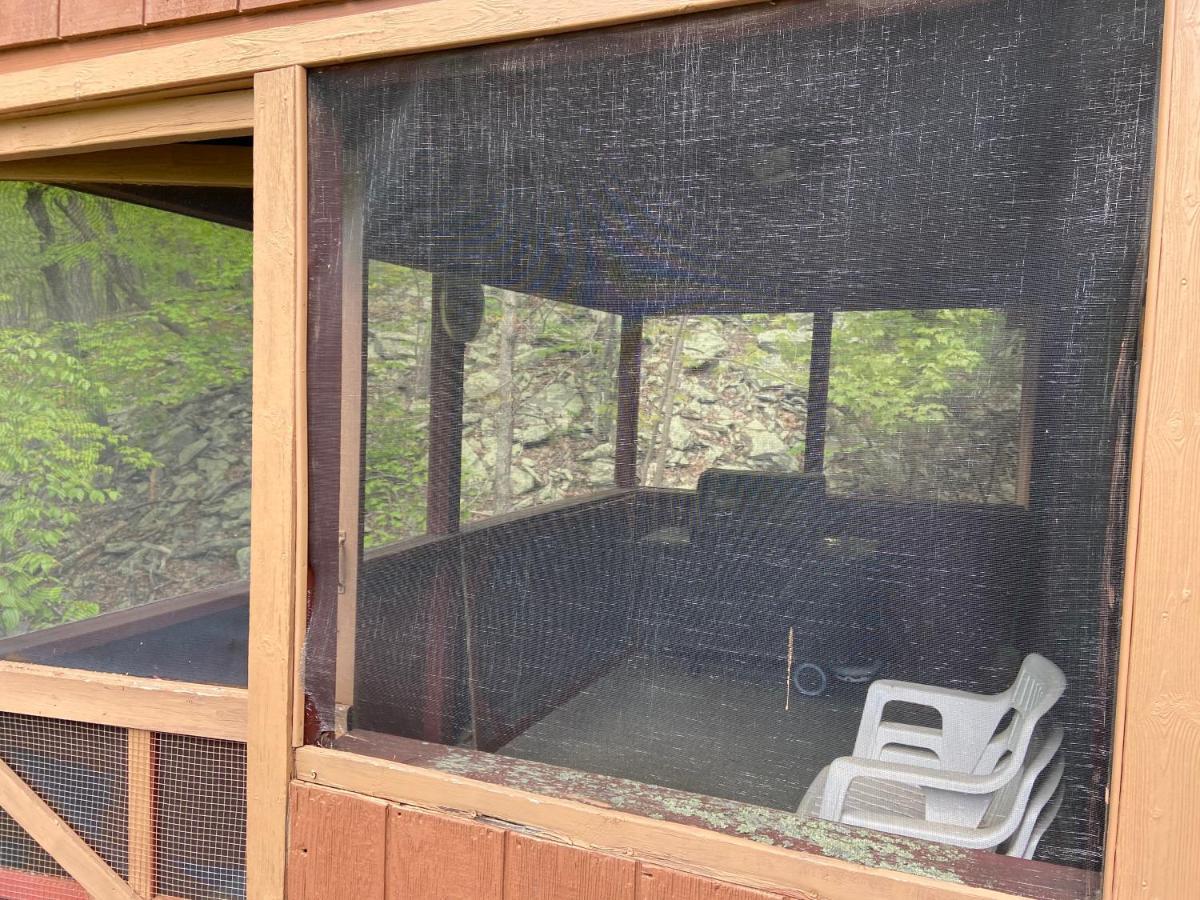 Saw Creek Cabin - Regent Hilltop Bushkill Exterior photo