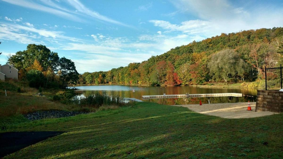 Saw Creek Cabin - Regent Hilltop Bushkill Exterior photo